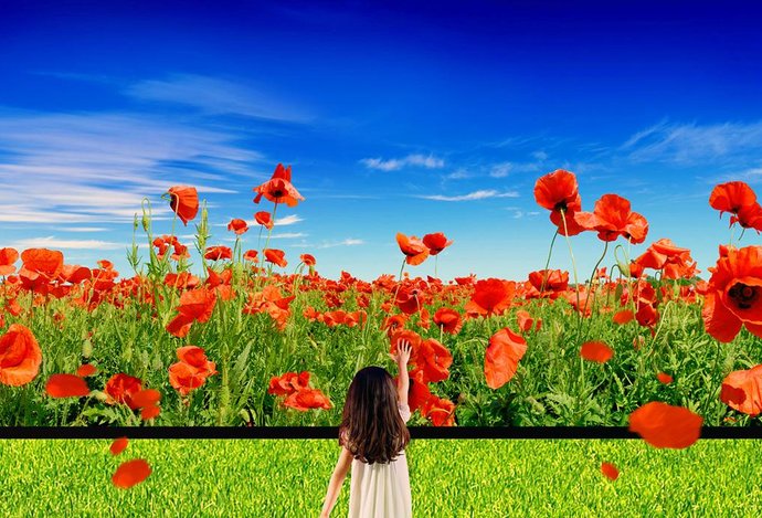 Photo Kto bude novým kráľom videokodekov?