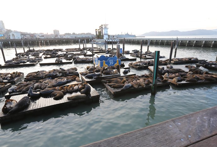 Photo Prelínanie vrstiev