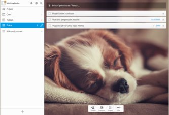 Photo Organizujte svoju prácu a čas digitálne a virtuálne