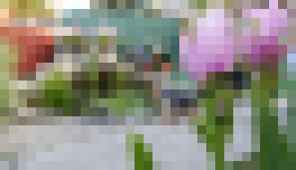 Photo Fotografujte mobilom kreatívne