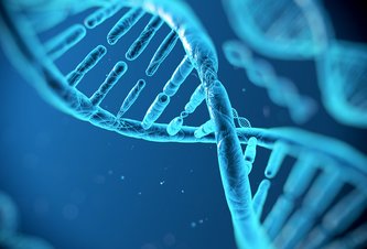 Photo Budeme raz dáta archivovať pomocou DNA?