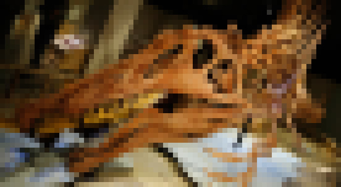 Photo Masové vymieranie môže urýchliť evolúciu. Nová vlna je na obzore, prinesie zánik cicavcov?
