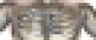 Photo Pacientovi s rakovinou implantovali časť hrudného koša. Vytlačila ho 3D tlačiareň z titánu