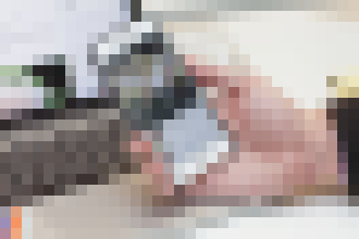 Photo Twitter spúšťa živé spravodajstvo Moments