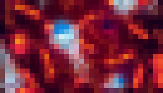 Photo Vedci implantovali nanoroboty do živej myši. Kedy bude na rade človek?