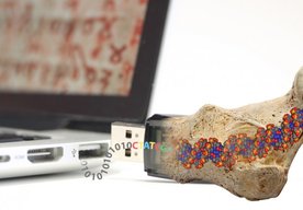 Photo Syntetická fosília ako kľúč USB. DNA úložisko môže uchovať digitálne dáta na milióny rokov
