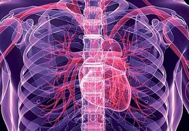 Photo Vedci chcú zabrániť infarktom pomocou nanodronov, ktoré budú putovať v našom tele 