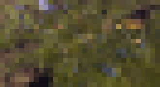 Photo Prečo firmy viac neprezentujú DX12?