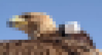 Photo Orol s akčnou kamerou je späť. Tentoraz zamieril do Dubaja