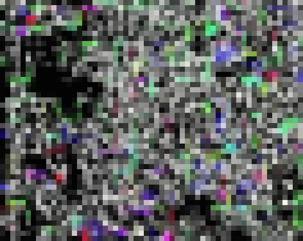 Photo Vypočujte si zvuky, ktoré zmiznú z nahrávky pri kompresii do MP3