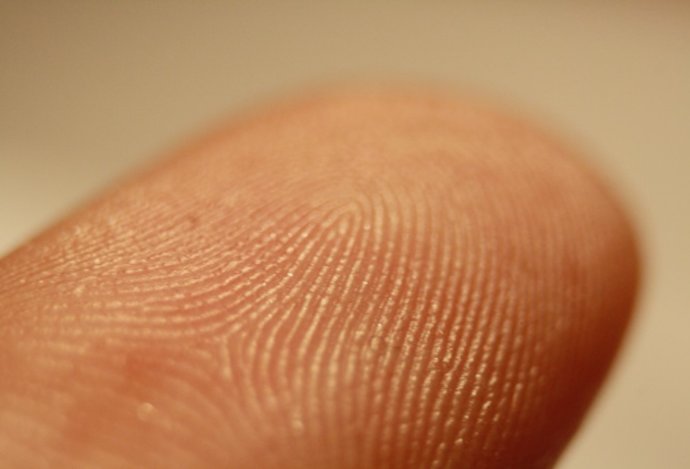 Photo Presnosť snímača odtlačkov prstov sa zvyšuje s jeho veľkosťou