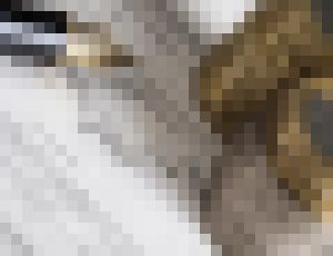 Photo ŠÚ buduje register firiem a podnikateľov za 10,65 mil. eur