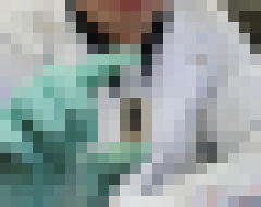 Photo Vedci vyvíjajú palivové články na cukor