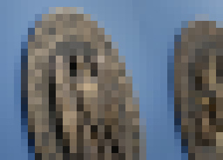 Photo V rámci projektu Mystic nahráva NSA v jednej krajine všetky telefonické hovory