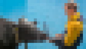 Photo Kravy s inteligentnými obojkami môžete pásť a monitorovať cez smartfón