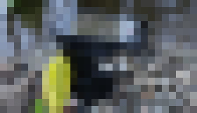 Photo MicrobeScope: príslušenstvo pre iPhone, ktorým môžete skúmať aj život mikróbov