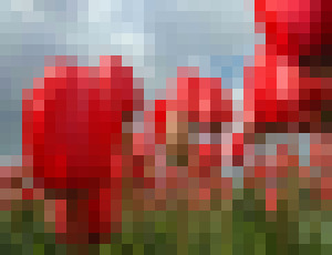 Photo V Holandsku už testujú prvú „inteligentnú” diaľnicu budúcnosti, ktorá v noci svieti zadarmo