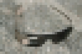 Photo Test: Sú Google Glass z hľadiska EMG žiarenia väčšia hrozba pre zdravie ako smartfón?