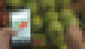 Photo Koniec prejedaniu sa? Prenosný spektrometer vie, koľko kalórii má váš obed