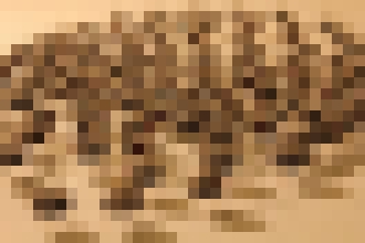 Photo Samoorganizujúce sa robotické roje potrebujú len minimálny výpočtový výkon