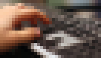 Photo Počet návštevníkov monitorovaných stránok prekročil 4 milióny