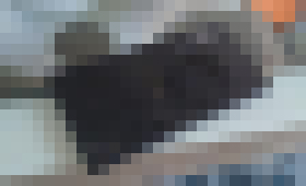 Photo Sony Xperia Z2 zázrakom prežila 6 týždňov v mori 