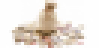 Photo Technologické firmy v kurze, Lenovo preskočilo Dell