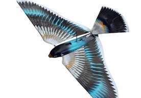 Photo Bionický vták prvýkrát priletel aj do našich končín