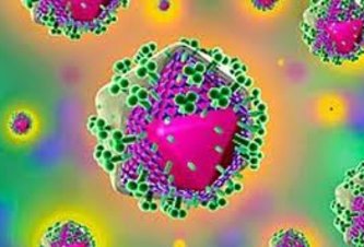 Photo ČR: Vedci vyvinuli látku, ktorá dokáže zabiť aj vírus HIV