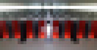 Photo Ocenili počítačovú aplikáciu, ktorú testovali naši prírodovedci