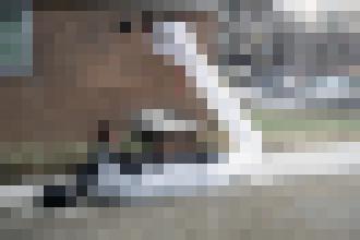 Photo ParaSITE: Igelitové útočisko, ktoré udrží bezdomovcov v teple aj počas krutej zimy 