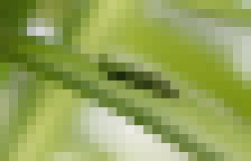 Photo Ultratenké ohybné nízkoenergetické procesory predstavil Freescale