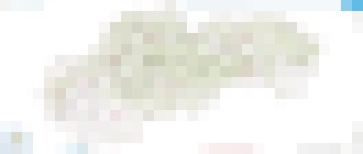 Photo Nová aplikácia Mapka odhalí vlastníkov pozemkov rýchlo a jednoducho