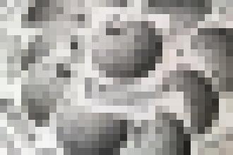 Photo Wikipédia dnes oslavuje 15 rokov slobodných vedomostí