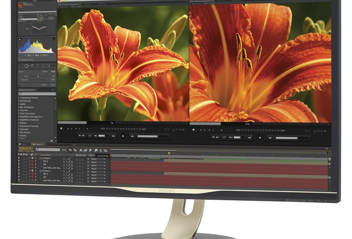 Photo Monitor Philips BDM3275UP/00