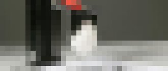 Photo Zlepšené robotické „prsty“ bez problémov uchopia predmety zložitých tvarov. Stanú sa súčasťou dronov