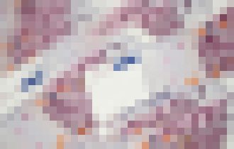 Photo CVTI obstaralo podporu pre dátové centrum za 5,5 milióna eur. Dodávateľom je Atos