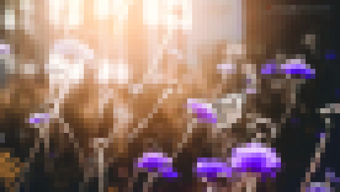 Photo Tipy a triky: Pridajte do fotografie odlesk objektívu