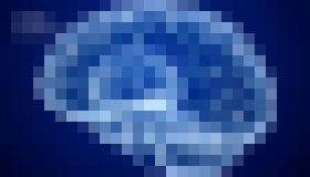 Photo Vedci odhalili, ako sú v mozgu usporiadané významy slov