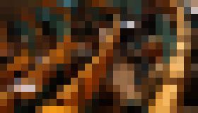 Photo Organizácie môžu získať grant na skvalitnenie VŠ vzdelávania