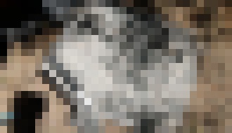 Photo GoTenna: Zoberte si mobilný signál so sebou aj tam, kde nie je pokrytie mobilných operátorov