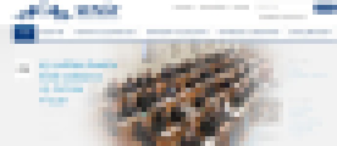 Photo ČR: Hakeri z hnutia Anonymous vyradili po schválení zákona z prevádzky stránky Senátu