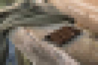 Photo Sony Xperia E5 prináša ikonický dizajn a výkon 