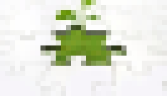 Photo Slovenský startupový ekosystém môže očakávať investície vo výške 30 mil. eur