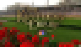 Photo Umelá inteligencia vyhrala 20-dolárovou stávkou na Kentucky Derby 11 000 dolárov