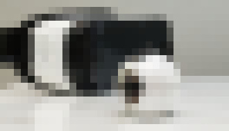 Photo Samsung začína predávať kameru Gear 360. Poznáme cenu