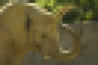 Photo Ako na to: Fotografujeme zvieratá (nielen) v ZOO. Týmto chybám sa vyhnite