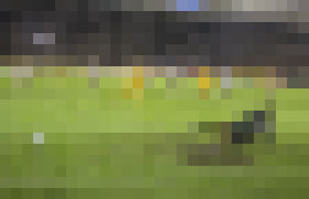 Photo Satelit prináša šport do všetkých kútov sveta  