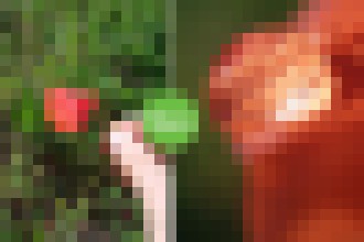 Photo BLIPS: Ultratenké šošovky zmenia smartfón na mikroskop a umožnia fotiť až na úroveň buniek