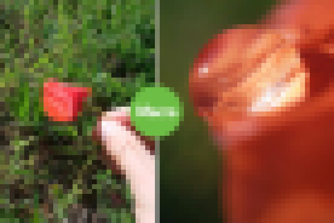 Photo BLIPS: Ultratenké šošovky zmenia smartfón na mikroskop a umožnia fotiť až na úroveň buniek